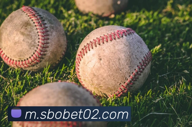 sunbet申博APP 封面图